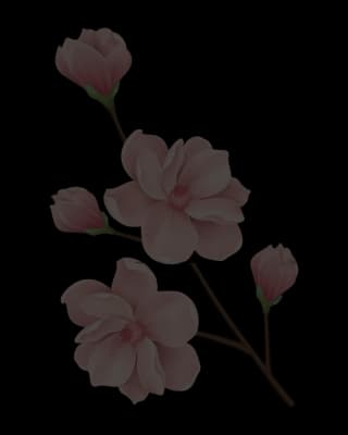 illustration of flower