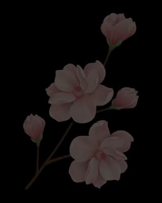 illustration of flower